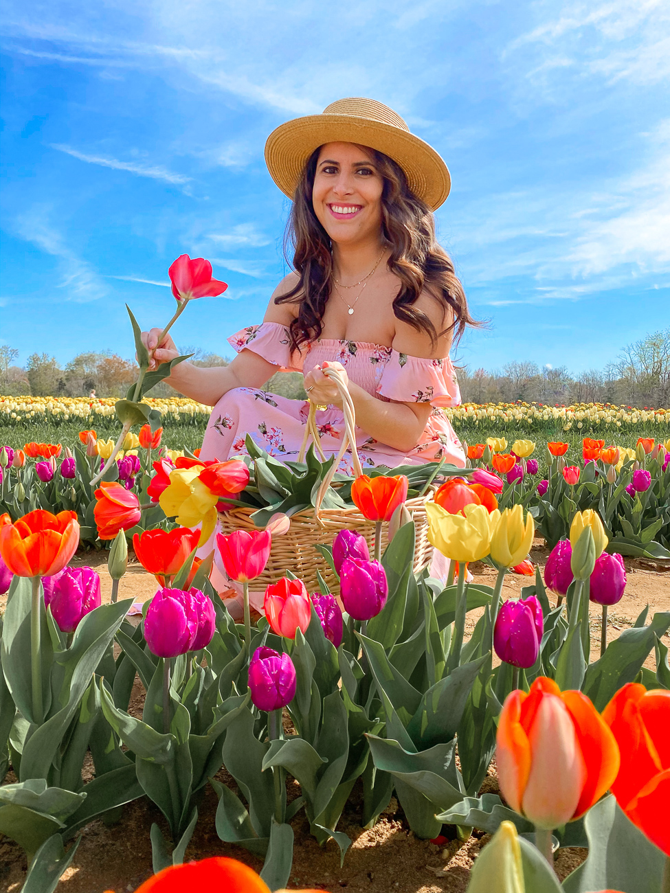 Tulips at Holland Ridge Farm Everything Dee